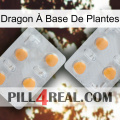 Dragon À Base De Plantes 25
